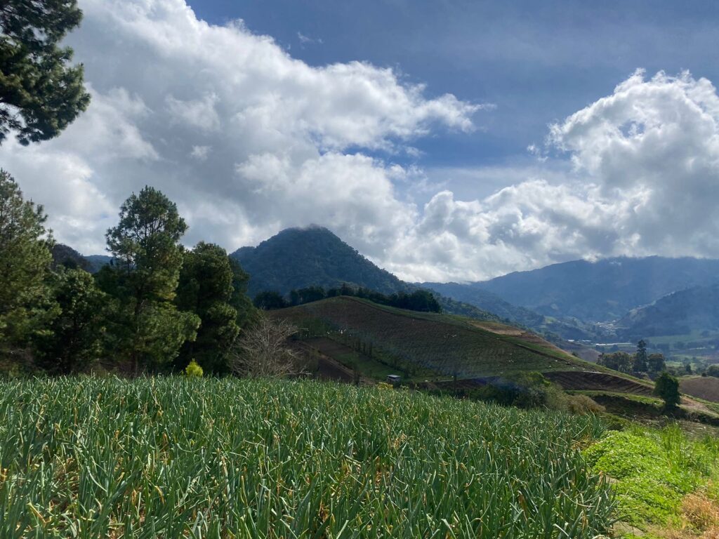 Cerro Punta13