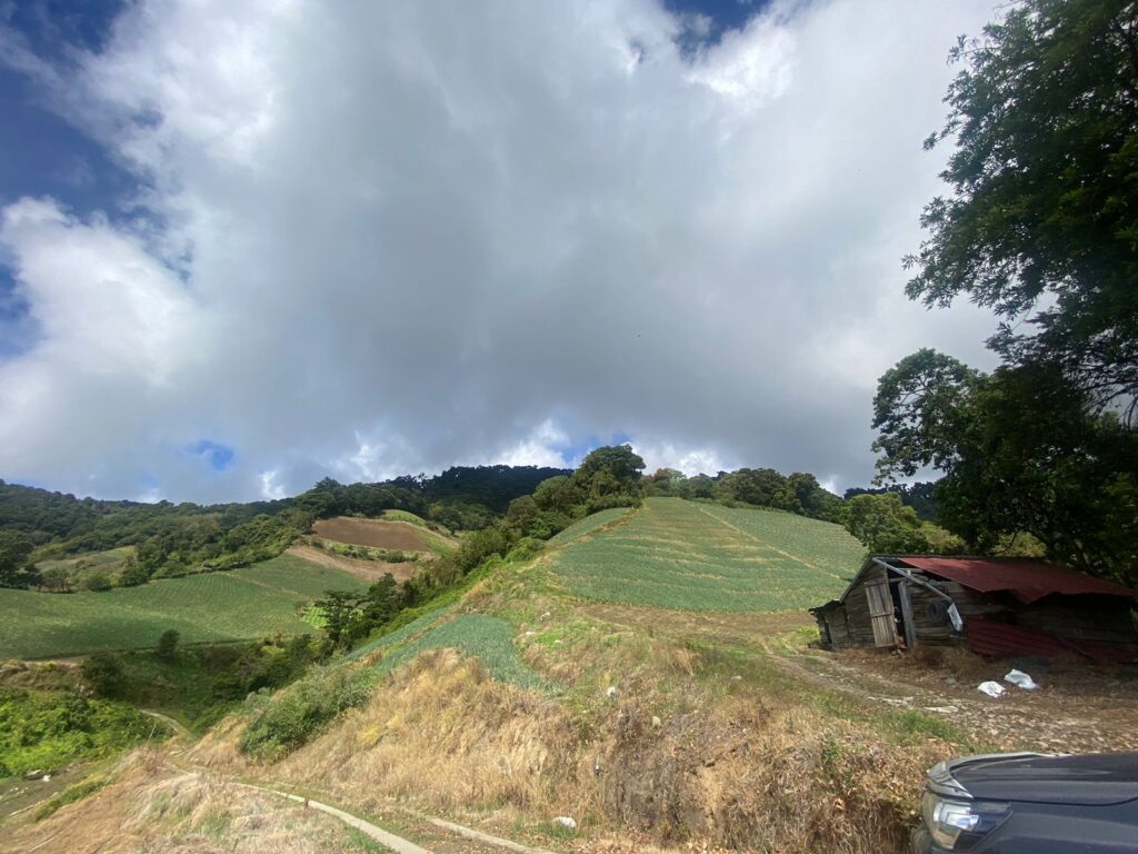 Cerro Punta6
