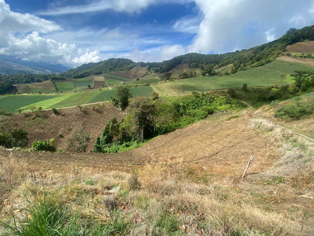 Cerro Punta7