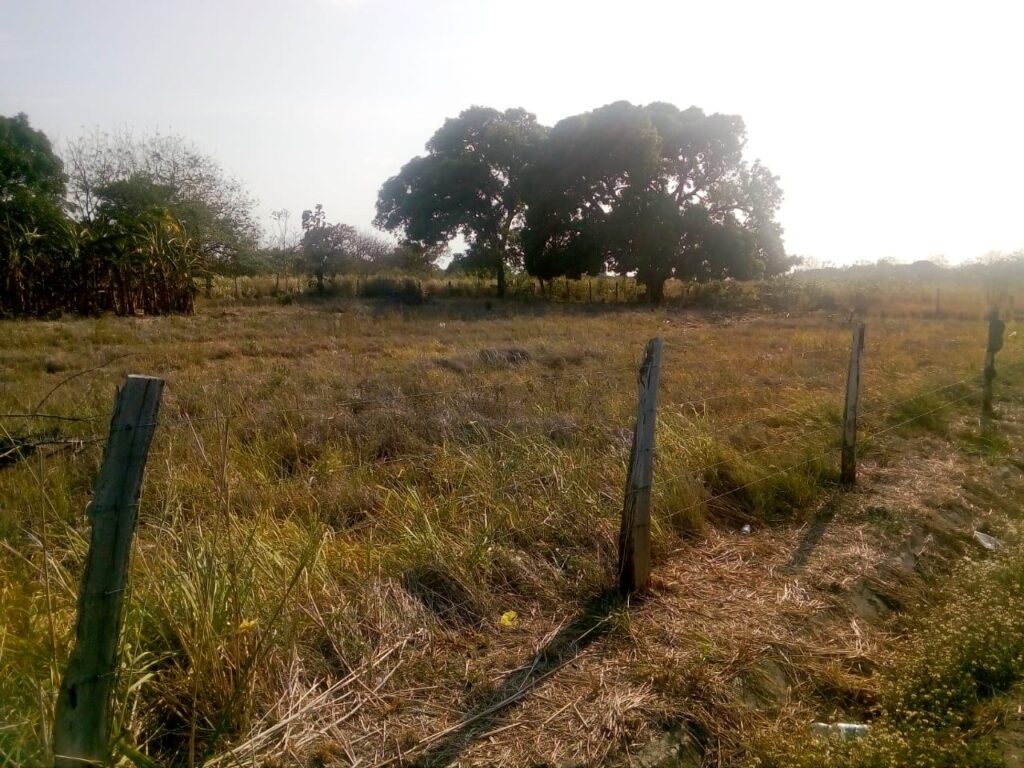 IMG-20200303-WA0010
