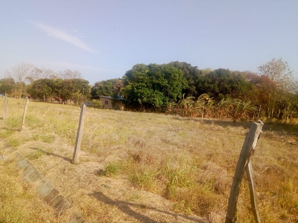 IMG-20200303-WA0013