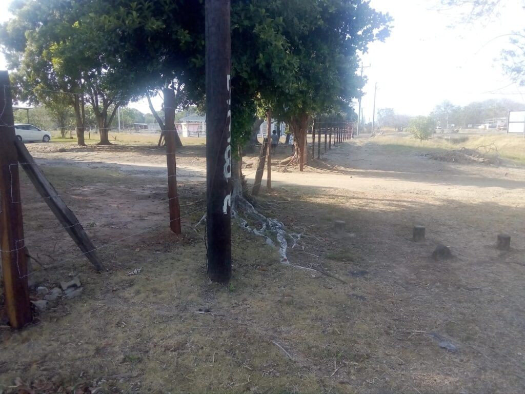 IMG-20200303-WA0019
